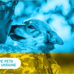 Збір коштів на порятунок тварин