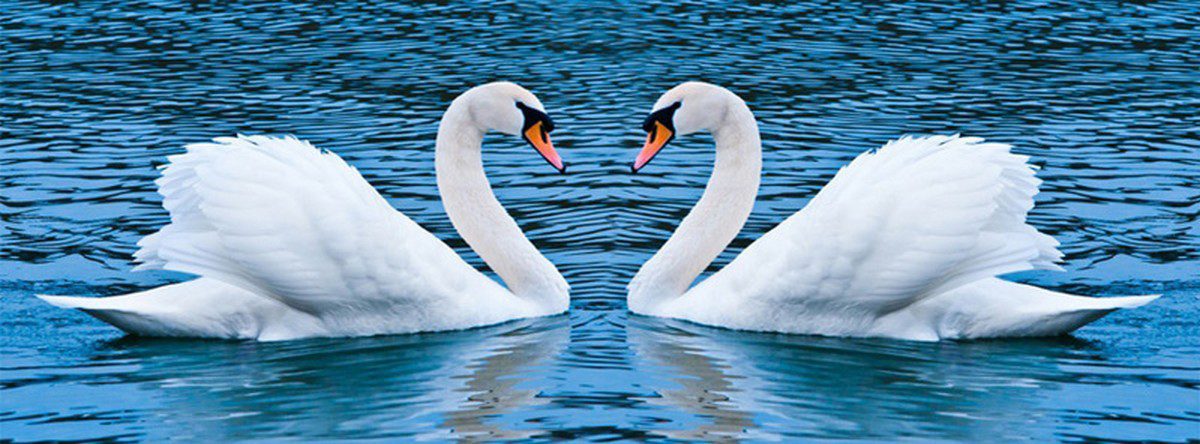 Purity is the key to spiritual strength