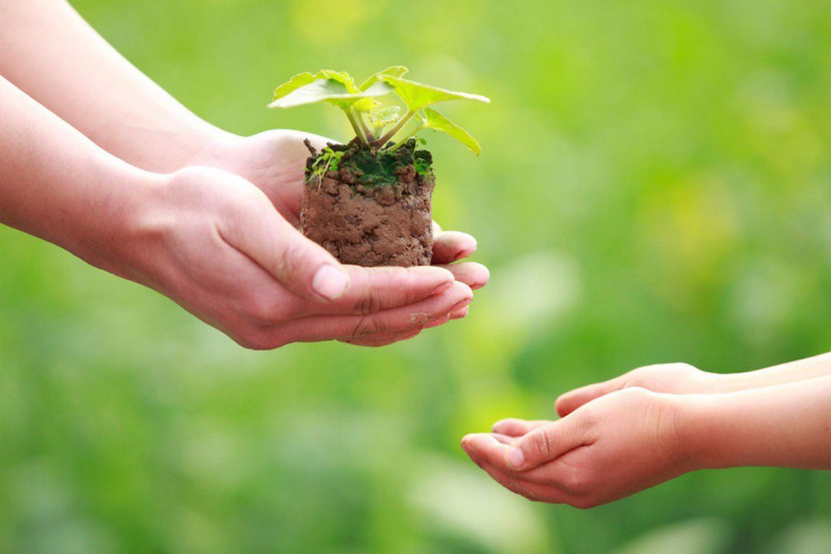 The joy of giving
