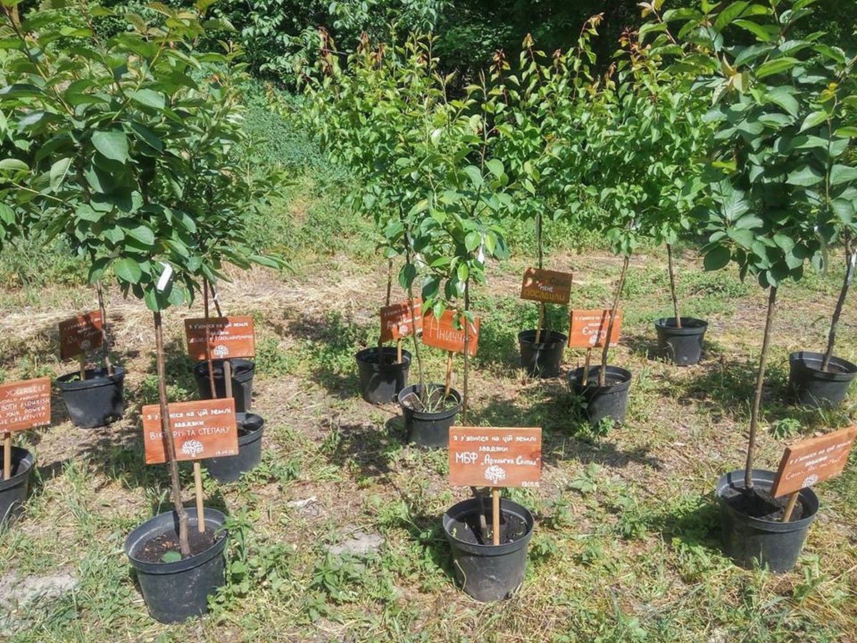 We plant trees - we create an Urban Eco-space to support a new unique place