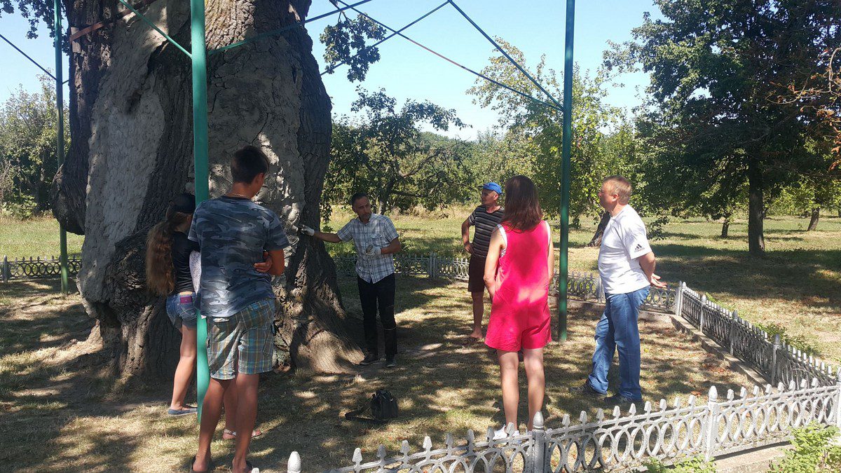 Ils ont visité les chênes de Shevchenko. avec le médecin professionnel Ihor Singer pour l'examen final - "Arbres célèbres et historiques d'Ukraine"