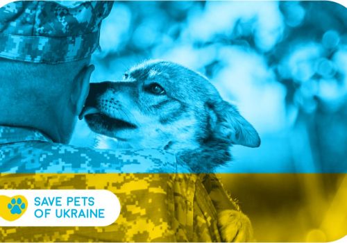 Raising funds for animal rescue